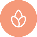 Bonfire.com