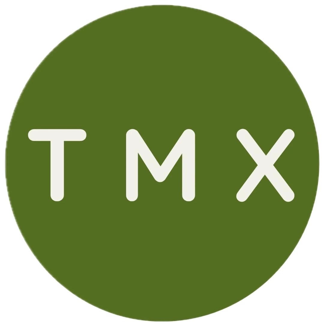 T-Maxx International Logo